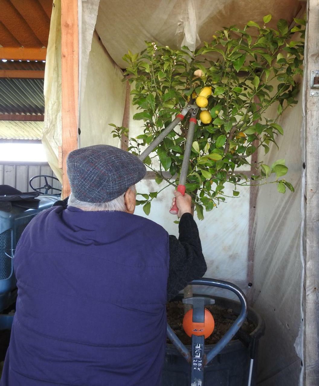 B&B El Ranxo Franciach Εξωτερικό φωτογραφία