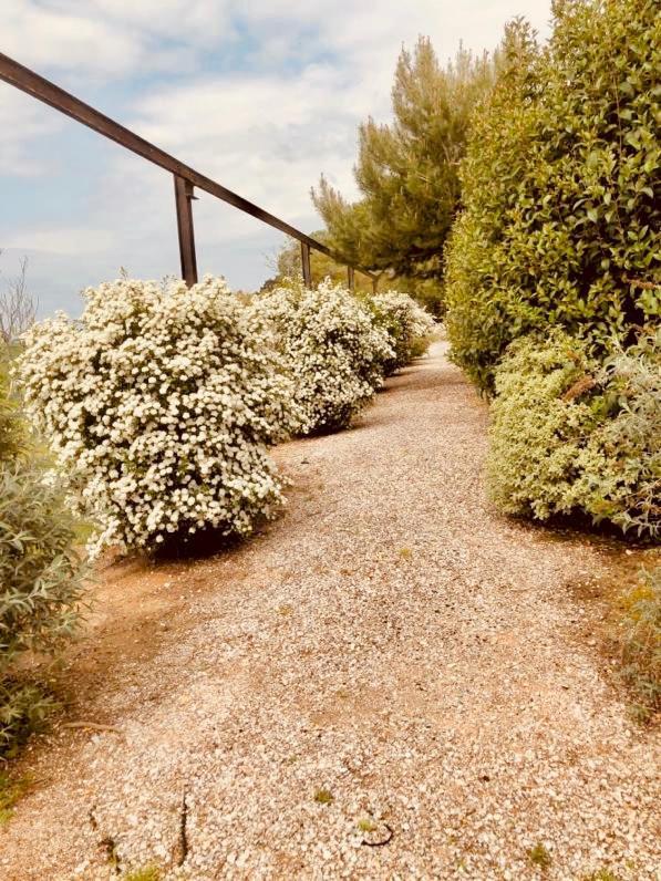 B&B El Ranxo Franciach Εξωτερικό φωτογραφία